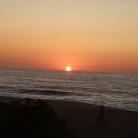 Hébergement de vacances Casa Do Sol Nazaré